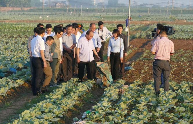 Thủ tướng bất ngờ đến chợ Long Biên lúc tờ mờ sáng thu tuong bat ngo den cho long bien luc to mo sang
