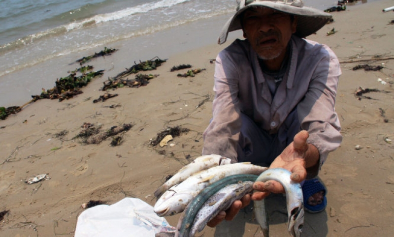ung 3000 ty dong boi thuong cho nguoi dan 4 tinh mien trung
