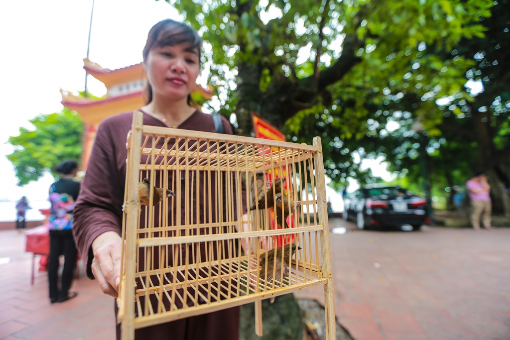 ngay cuoi cung ky nghi le nguoi ha noi tranh tu toi phu chua cung ram thang 7 som
