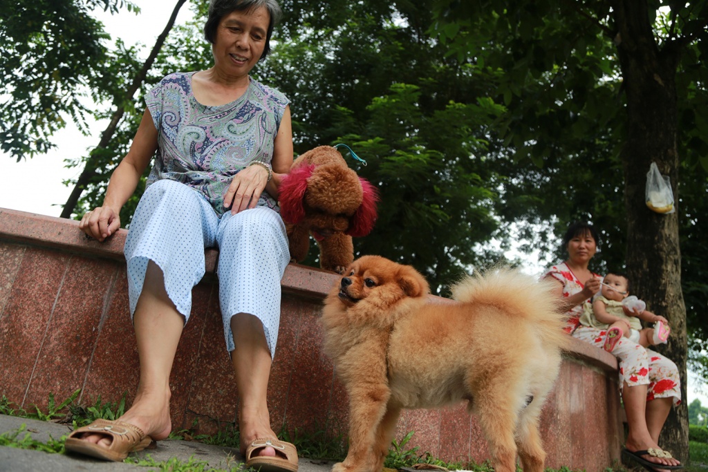 tieu huy cho neu sau 72 gio khong ai den nhan la vo ly