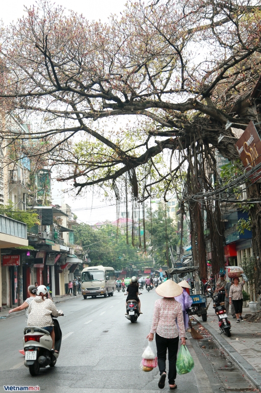 nguoi dan ha noi don dot khong khi lanh dau thu