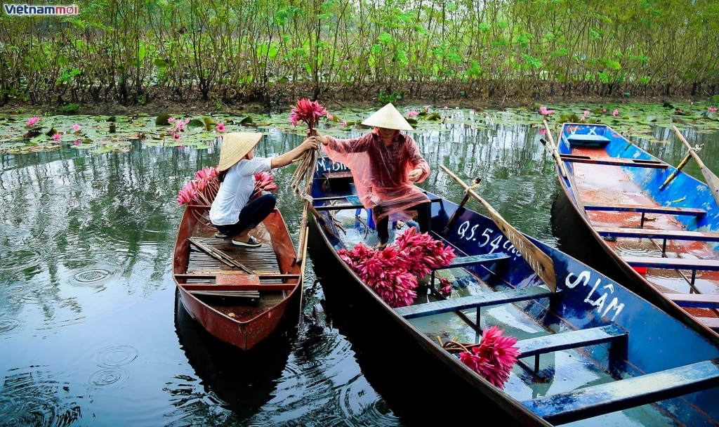 suoi yen tien canh vao mua thu