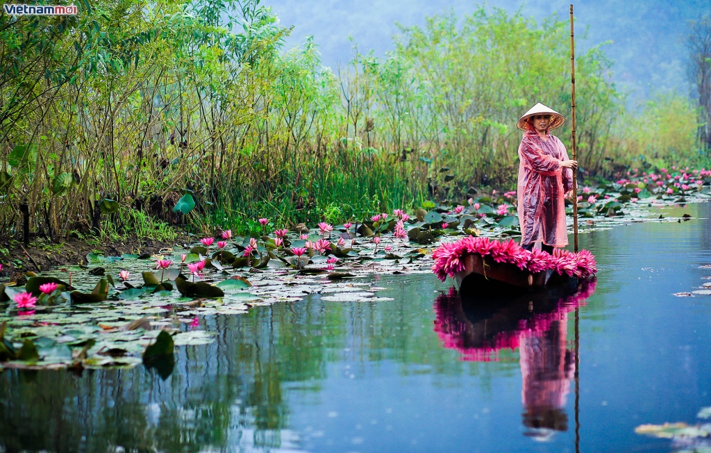 suoi yen tien canh vao mua thu