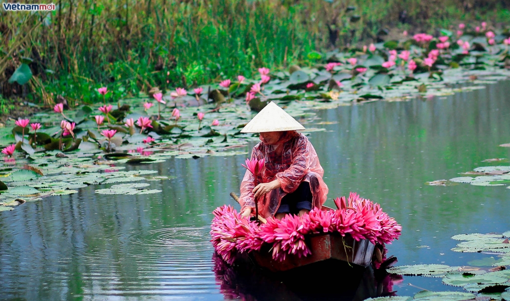 suoi yen tien canh vao mua thu
