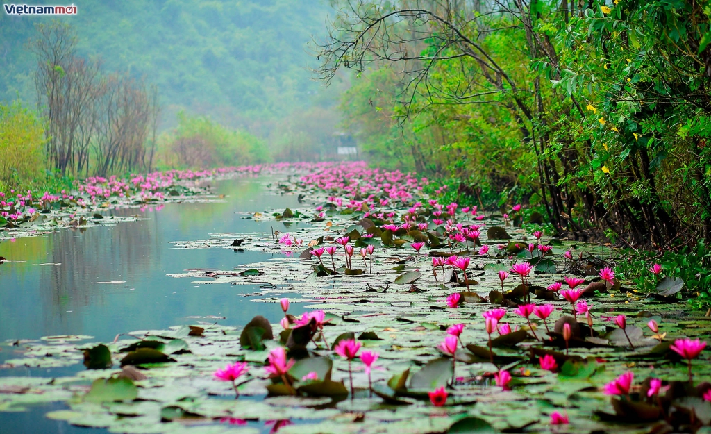 suoi yen tien canh vao mua thu