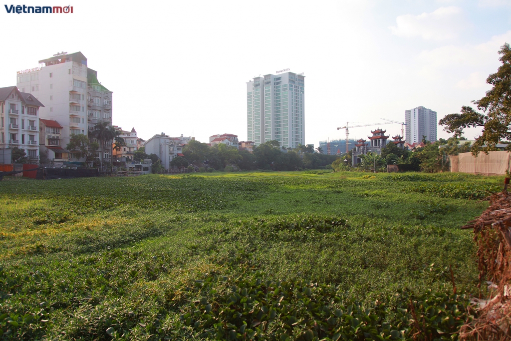 ha noi nhieu ho nuoc bi o nhiem nang