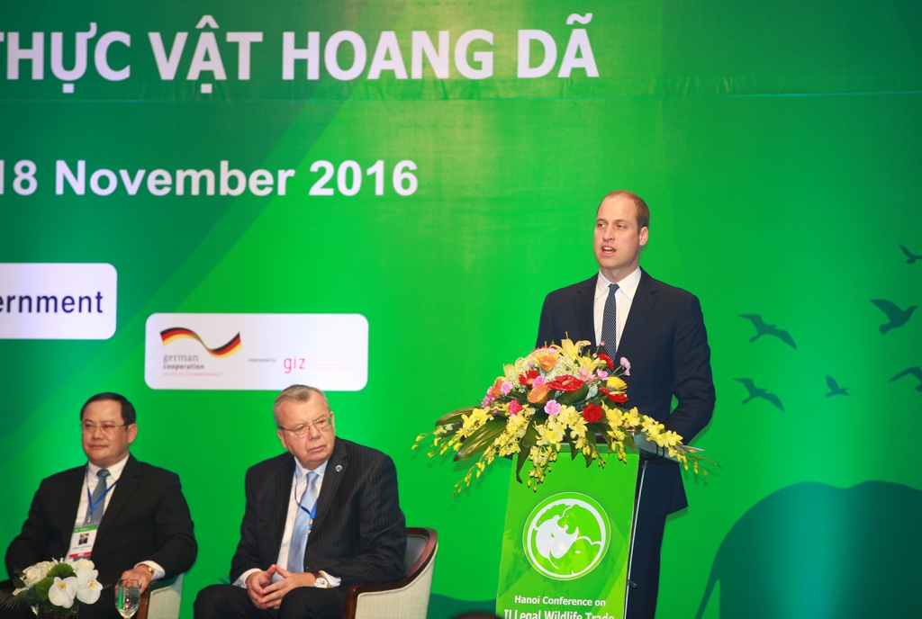 hoang tu anh quyet tam ngan chan nan san ban cac loai dong vat hoang da