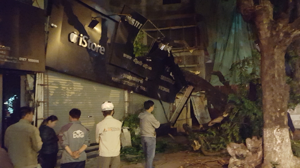 Hà Nội: Cây lớn bất ngờ đổ sập vào nhà dân trong đêm ha noi cay lon bat ngo do sap vao nha dan trong dem