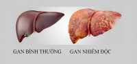 co giao xinh dep hien tang cuu song 6 nguoi tai anh