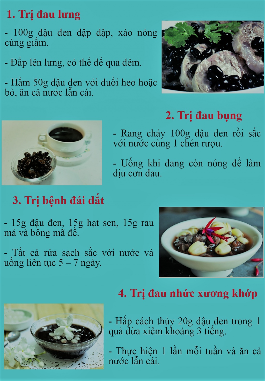 dau den mot vi thuoc quy tu thien nhien