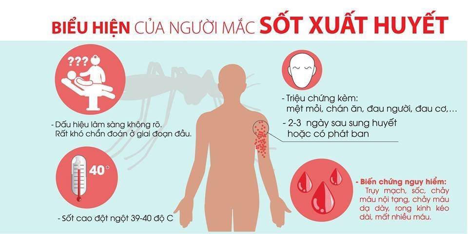 nhung cach ha sot xuat huyet hieu qua