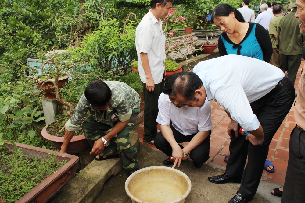 nhung cach ha sot xuat huyet hieu qua