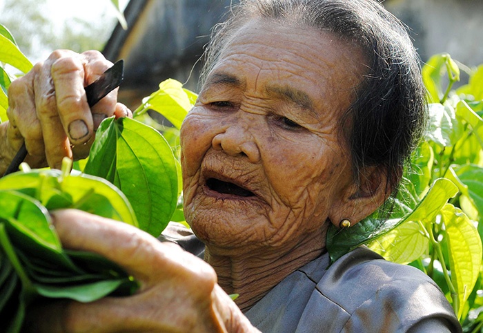 an trau co the gay ung thu mieng