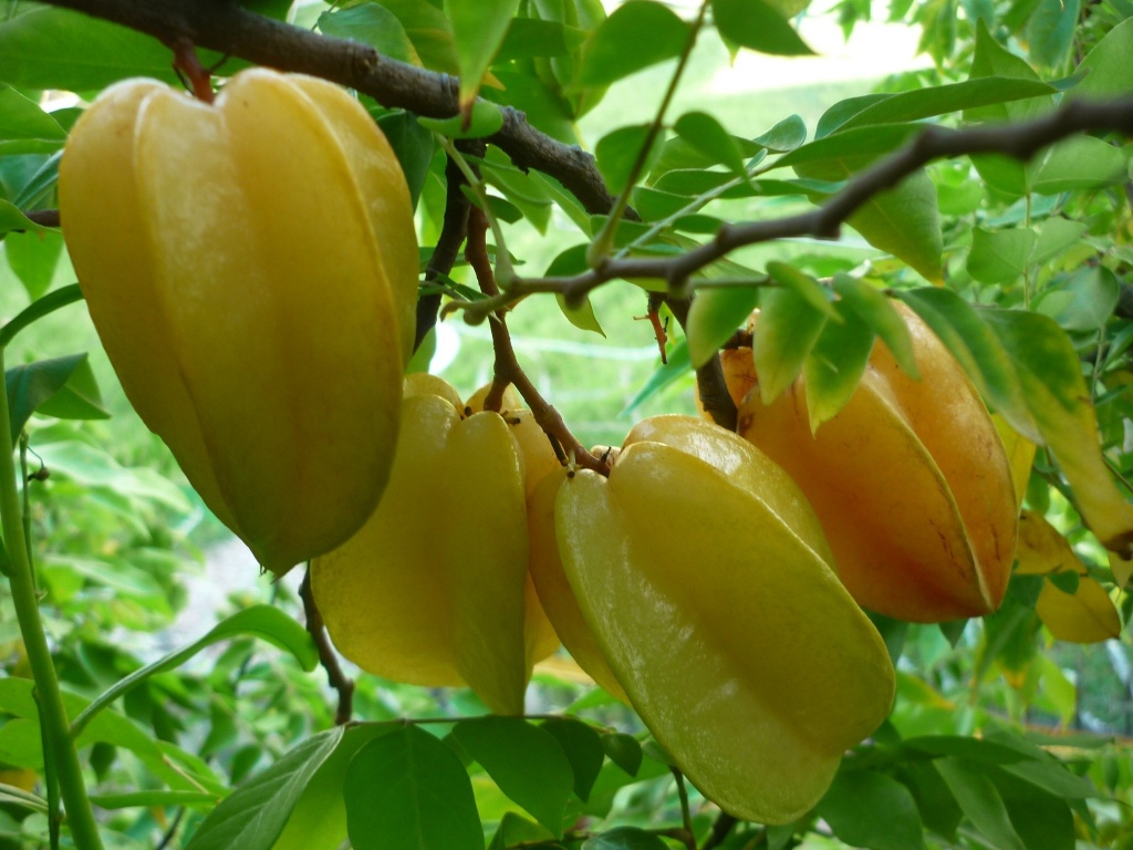 mach ban cach chua nhiet mieng don gian va hieu qua
