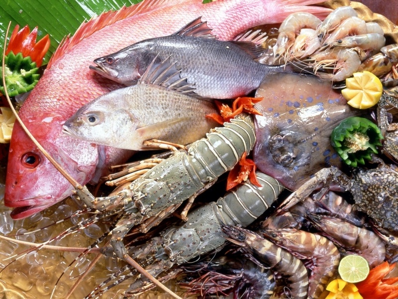 tre bi soi can co che do dinh duong nhu the nao