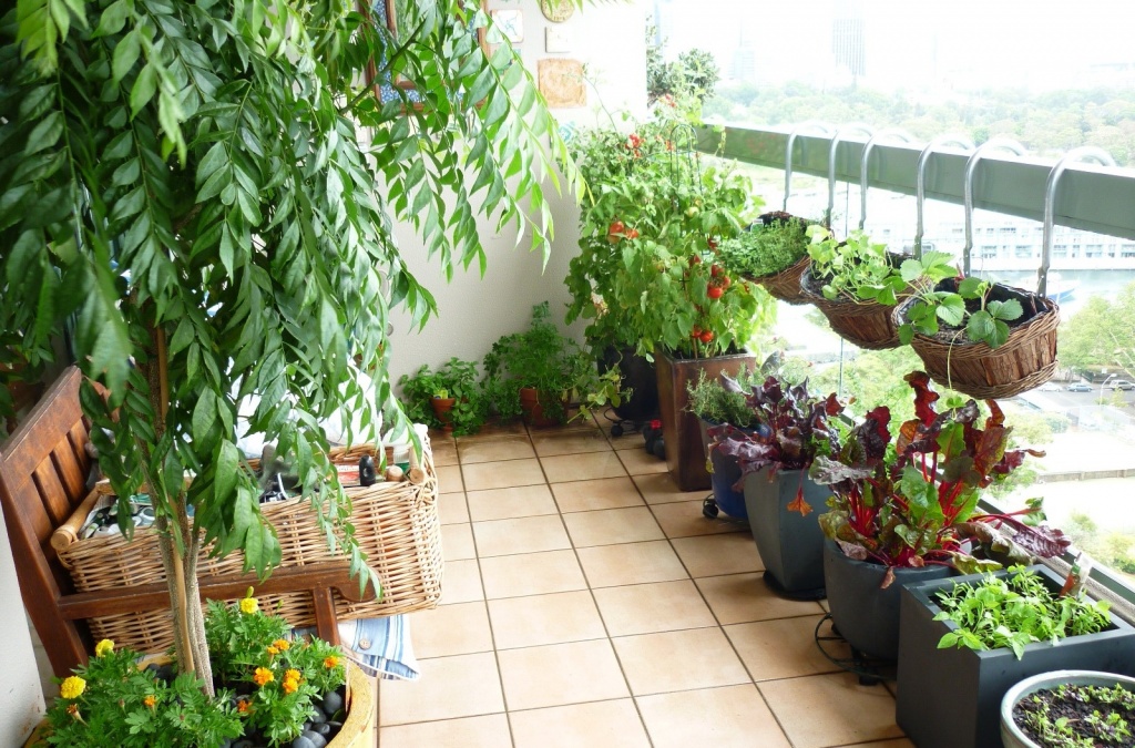 lam sao thoat khoi o nhiem tieng on