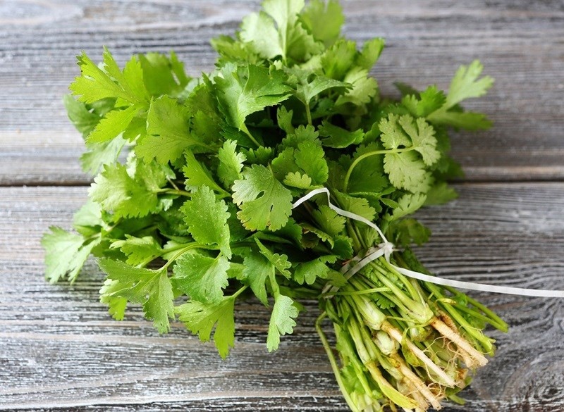 rau mui giup khu kim loai nang cho co the