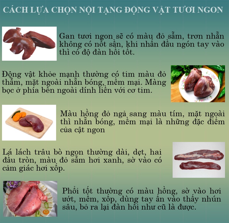 noi tang dong vat an the nao de khong anh huong den suc khoe