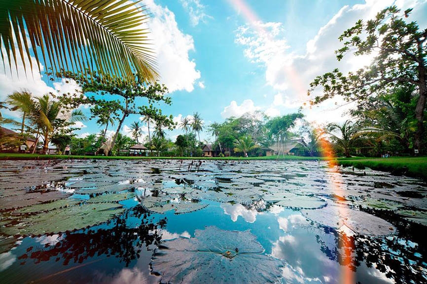 diem vui choi ly tuong gan sai gon ngay 2011