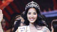 nguyen le ba thang tuoi tho co cuc tung ban hoi cho phat to roi de kiem tien song