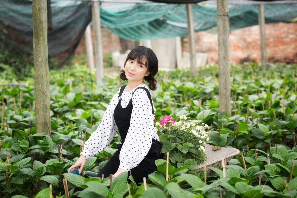lan cua phim nhung co gai trong thanh pho tung bo anh don tim fan