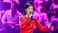 hong nhung noi buon giau di va don nhan tinh yeu moi