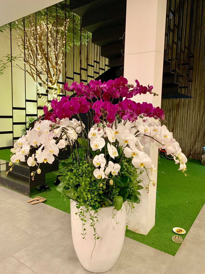 nghe si viet trang hoang nha cua chuan bi don tet