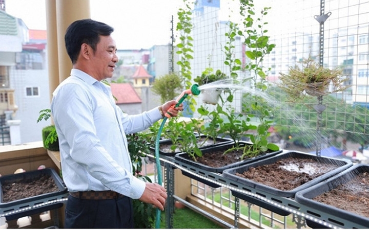 nhung nghe si nao thuong xuat hien trong cac phim hai tet