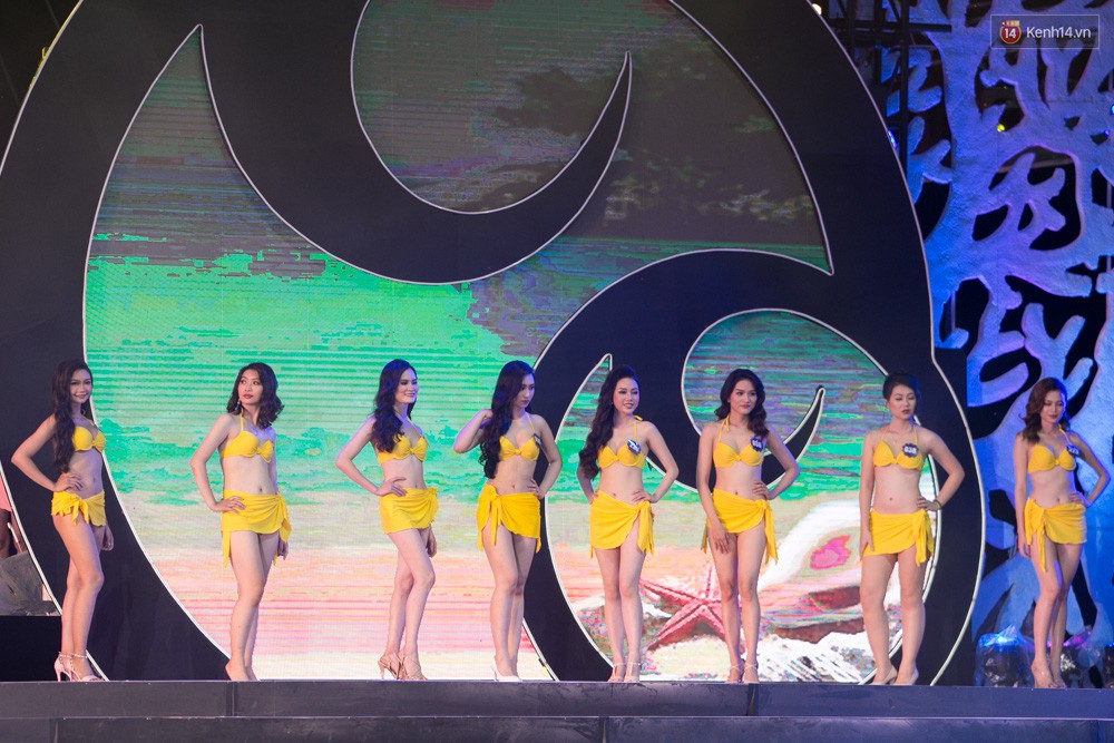catwalk nhu ba noi tro mua rau thi sinh hoa hau bien viet nam bi che toi ta
