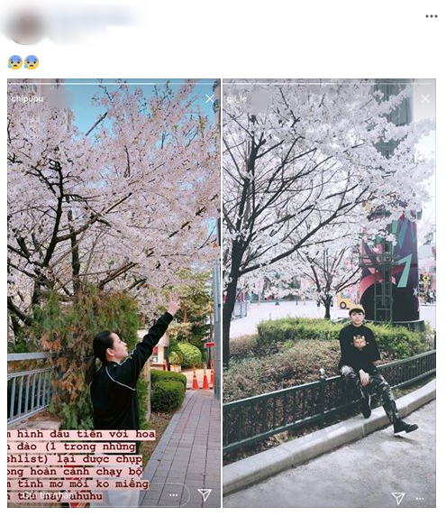 su that dang sau hinh anh chi pu gil le hoi ngo o han quoc hau tin don ran nut
