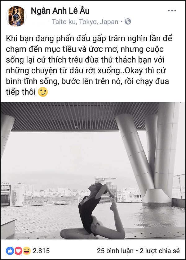 Bộ Văn hóa không công nhận danh hiệu Hoa hậu, Ngân Anh phát ngôn ẩn ý bo van hoa khong cong nhan danh hieu hoa hau ngan anh phat ngon an y