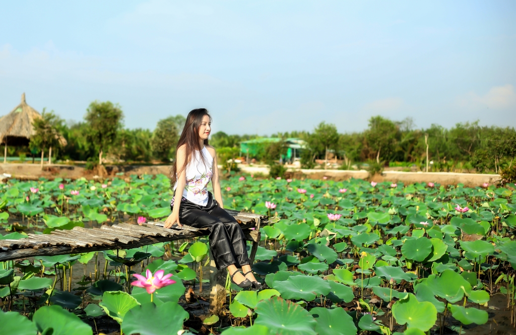 ngam ve dep cuon hut cua nu sinh dong nai duyen dang khoe sac giua mua sen