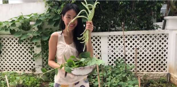 thuy tien gian di hai rau vuon nha hai huoc ke chuyen an khong het phai mang ra cho ban