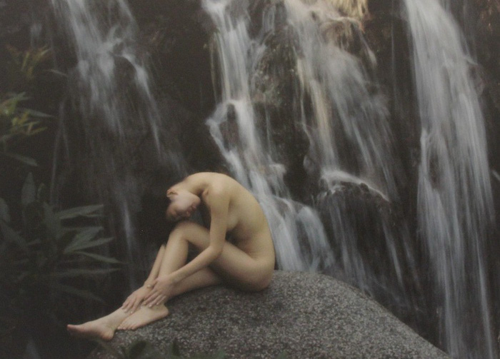 thai phien nhiep anh khoa than dau la hoa thom dau la co dai