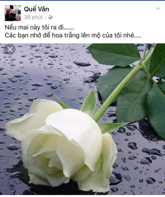 bi vo tra xet chuyen meo mo voi que van viet anh the thot anh khong co gi khuat tat