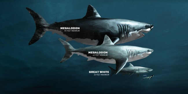lam sao de tai tao hinh anh cua ca map sieu bao chua megalodon