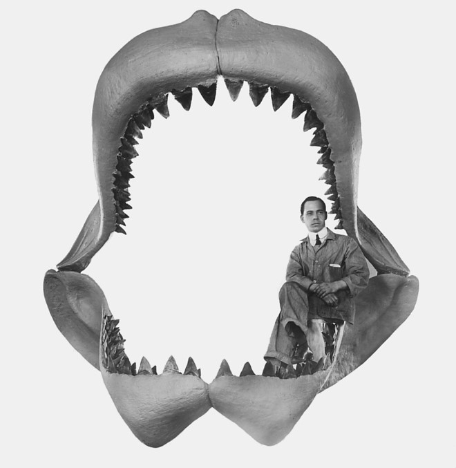 lam sao de tai tao hinh anh cua ca map sieu bao chua megalodon