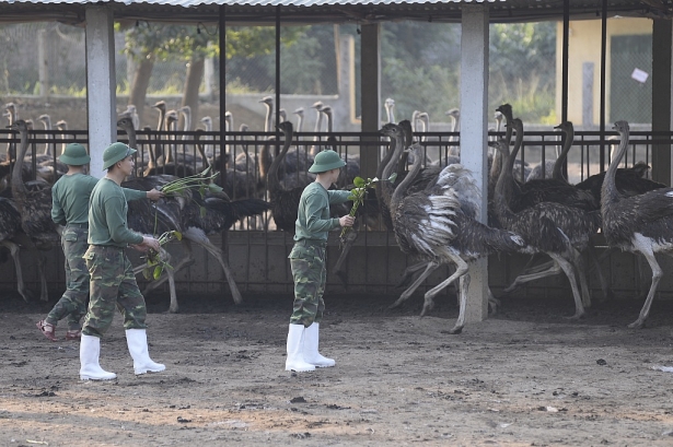 sau khi thua nhan ly hon ca si tim se tham gia sao nhap ngu mua 7