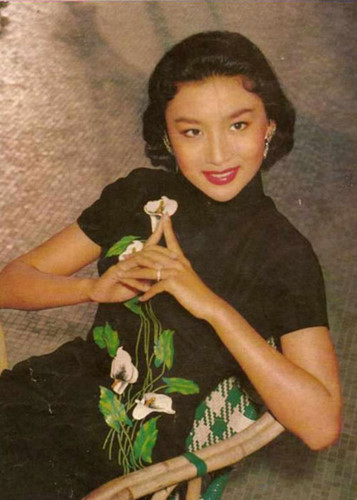 nguyen mau tieu long nu doi that cua nha van kim dung la ai