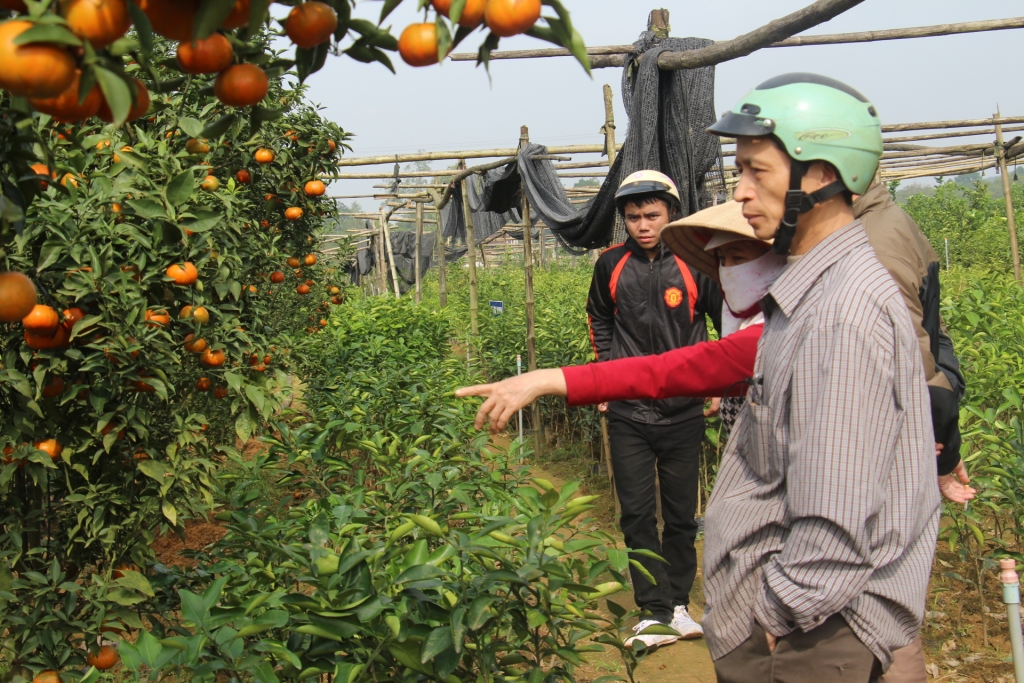 chang trai tat nguyen va con duong tro thanh ty phu mien que bai nam anh luu hay duyen thay ung xb gium em nha vietnt
