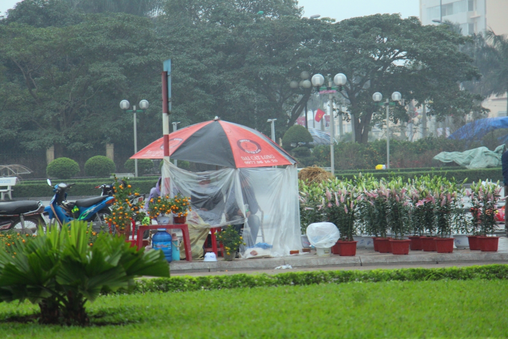 can tet nguoi ha tinh bat chap mua ret xuong pho mang xuan ve nha