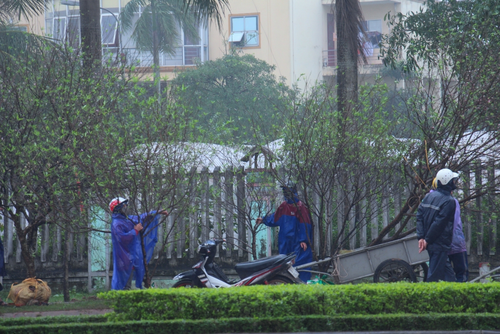 can tet nguoi ha tinh bat chap mua ret xuong pho mang xuan ve nha