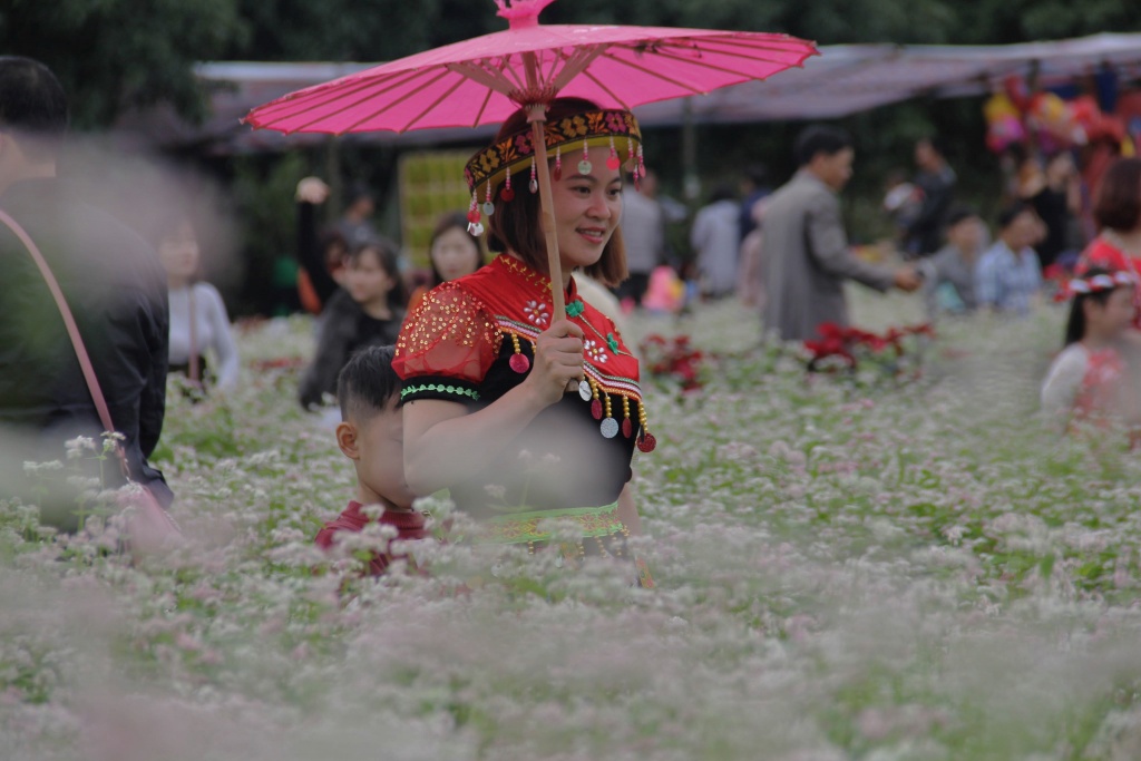 hoa tam giac mach no ro o xu nghe hang ngan nguoi dua nhau chiem nguong