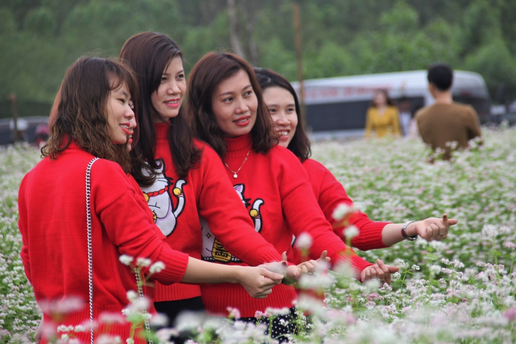 hoa tam giac mach no ro o xu nghe hang ngan nguoi dua nhau chiem nguong