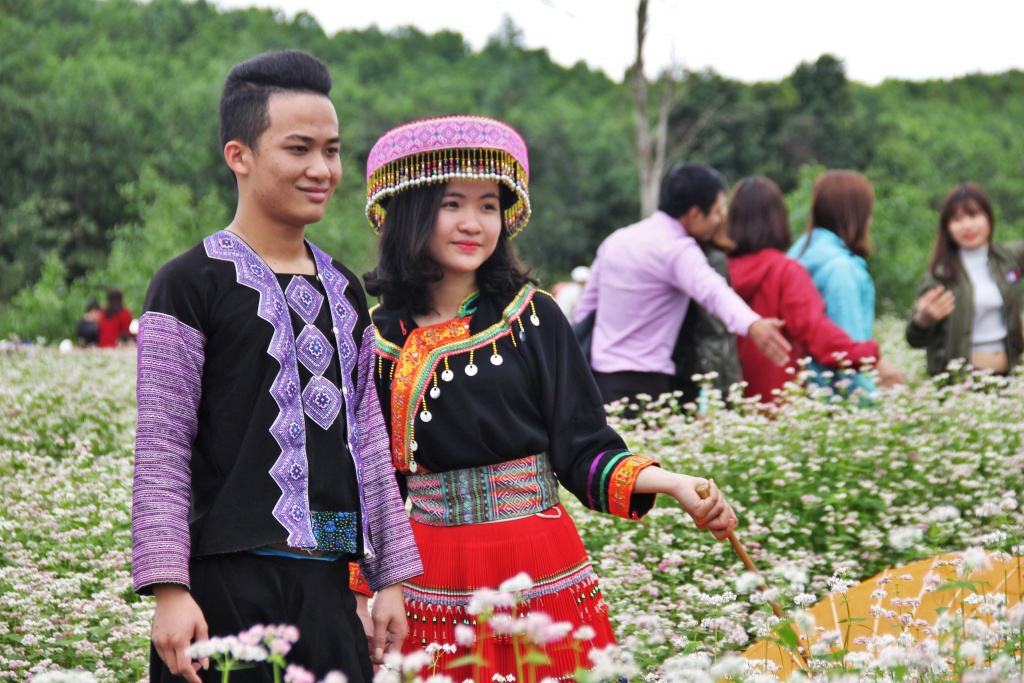 hoa tam giac mach no ro o xu nghe hang ngan nguoi dua nhau chiem nguong