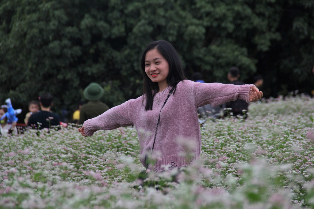 hoa tam giac mach no ro o xu nghe hang ngan nguoi dua nhau chiem nguong