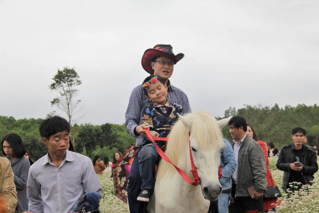hoa tam giac mach no ro o xu nghe hang ngan nguoi dua nhau chiem nguong
