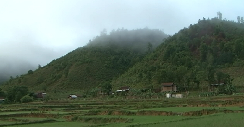 dam cuoi lich su sau nhung cuoc tinh anh em lay nhau