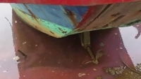 xuat hien dai nuoc mau hong phan dai 10m tap vao bo cang vung ang