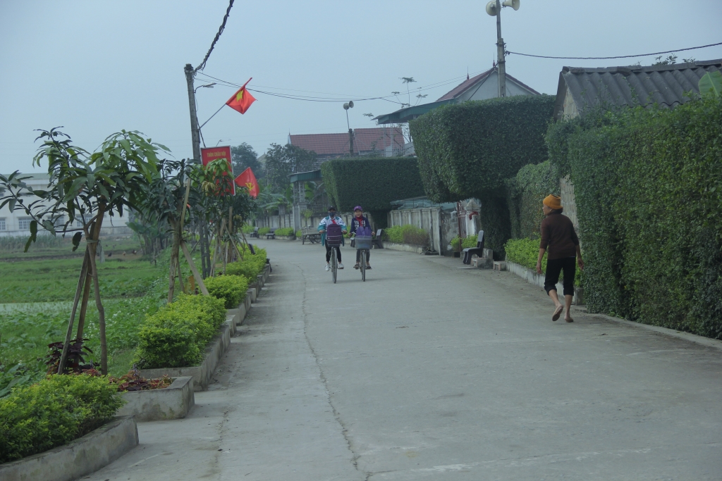 dep ngo ngang hang rao lam bang cay xanh gan 300 tuoi o ha tinh